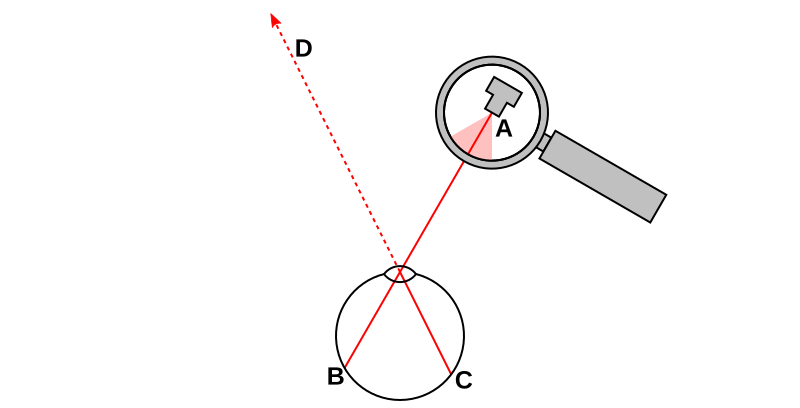 Figure 2: Light entering the eye from a single point in space (A), or along a single line, ends up in a single point on the retina (B). In order to put light onto a different spot (C), the light must have originated somewhere along line D.
